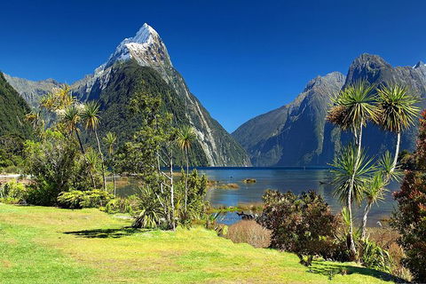 Aroha Tangata Australia And New Zealand 20 Day - Accommodation NSW 1