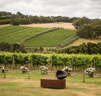Montalto Vineyard Mornington Peninsula Discovery Wine Tasting and Lunch - Accommodation NSW
