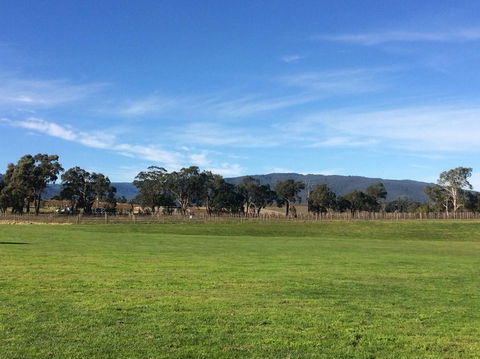 Yarra Valley Wineries And Puffing Billy Steam Train Tour From Melbourne - Accommodation NSW 17
