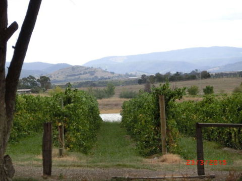 Yarra Valley Wineries And Puffing Billy Steam Train Tour From Melbourne - Accommodation NSW 25
