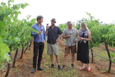 Yarra Valley Wineries And Puffing Billy Steam Train Tour From Melbourne - Accommodation NSW 29