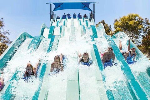 Adventure Park Geelong: General Admission Ticket - Accommodation NSW 1