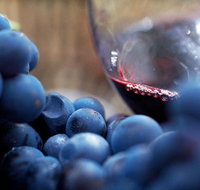 Small Group 6 guests Ultimate Mornington Peninsula Food and Wine - Accommodation NSW
