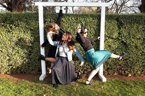 All Fun - No Fuss Tour! - Accommodation NSW 1