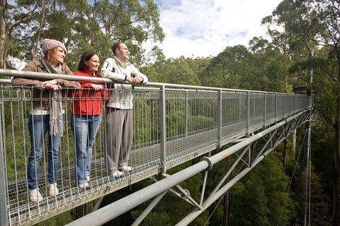 Adventure Sunset Three Day Great Ocean Road Tour - Accommodation NSW 14