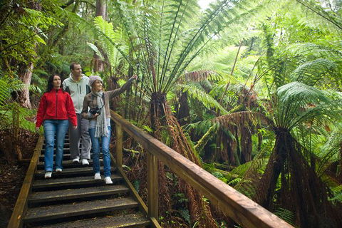 Adventure Sunset Three Day Great Ocean Road Tour - Accommodation NSW 13