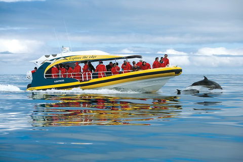 3-Hour Tasman Peninsula Wilderness Cruise From Port Arthur - Accommodation NSW 5