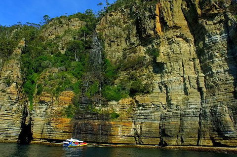 3-Hour Tasman Peninsula Wilderness Cruise From Port Arthur - Accommodation NSW 7