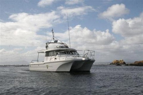 Bonnet Island Experience Departing From Strahan - Accommodation NSW 1