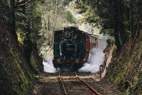 West Coast Wilderness Railway: River And Rainforest From Strahan - Accommodation NSW 0