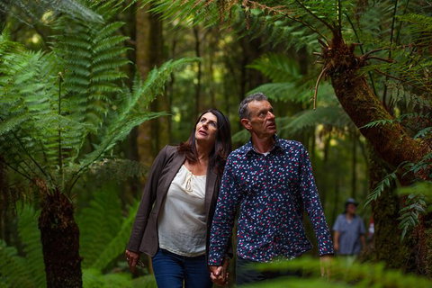 West Coast Wilderness Railway: River And Rainforest From Strahan - Accommodation NSW 3