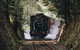 West Coast Wilderness Railway: Queenstown Explorer From Strahan - thumb 1