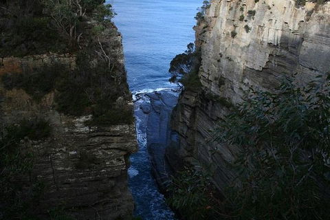 Cruise Ship Special From Port Arthur: Explore Tasman Peninsula With Free WiFi - Accommodation NSW 1
