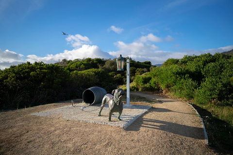 Cruise Ship Special From Port Arthur: Explore Tasman Peninsula With Free WiFi - Accommodation NSW 9