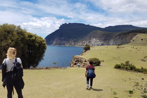 3-Day: Hobart Nature Walking Tour: Maria Island, Cape Raoul & Mount Field - Accommodation NSW 3