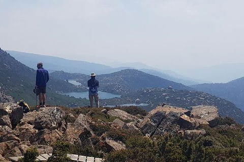 3-Day: Hobart Nature Walking Tour: Maria Island, Cape Raoul & Mount Field - Accommodation NSW 11