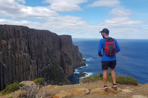 3-Day: Hobart Nature Walking Tour: Maria Island, Cape Raoul & Mount Field - Accommodation NSW 13