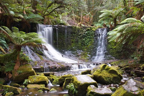 3-Day: Hobart Nature Walking Tour: Maria Island, Cape Raoul & Mount Field - Accommodation NSW 10