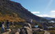 3-Day: Hobart Nature Walking Tour: Maria Island, Cape Raoul & Mount Field - thumb 6