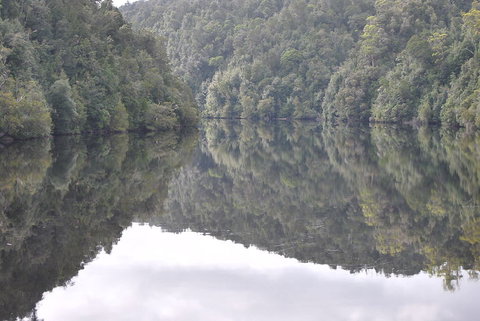 Gordon River Cruise Departing From Strahan - Accommodation NSW 17