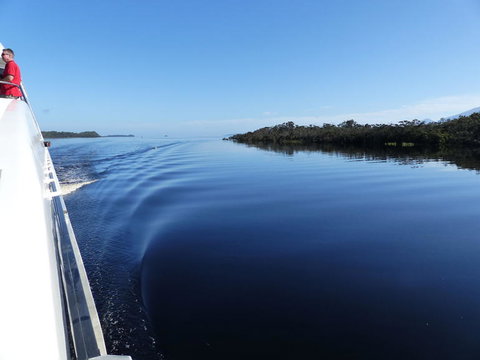 Gordon River Cruise Departing From Strahan - Accommodation NSW 3