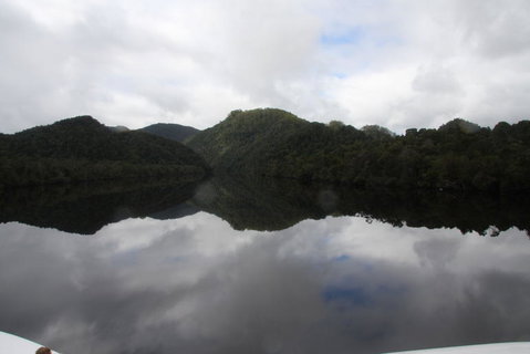 Gordon River Cruise Departing From Strahan - Accommodation NSW 18