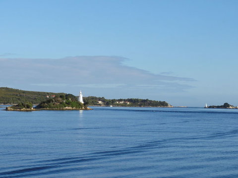 Gordon River Cruise Departing From Strahan - Accommodation NSW 8