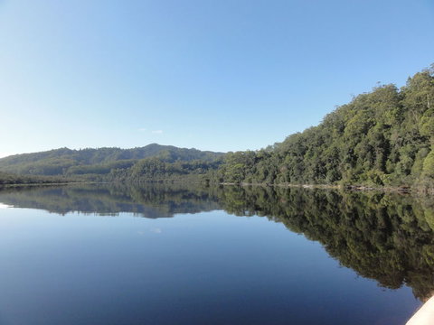Gordon River Cruise Departing From Strahan - Accommodation NSW 7