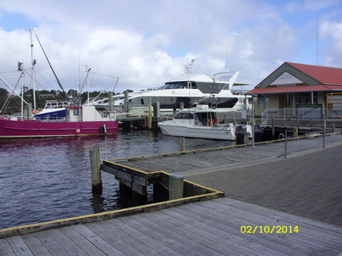 Gordon River Cruise Departing From Strahan - Accommodation NSW 14