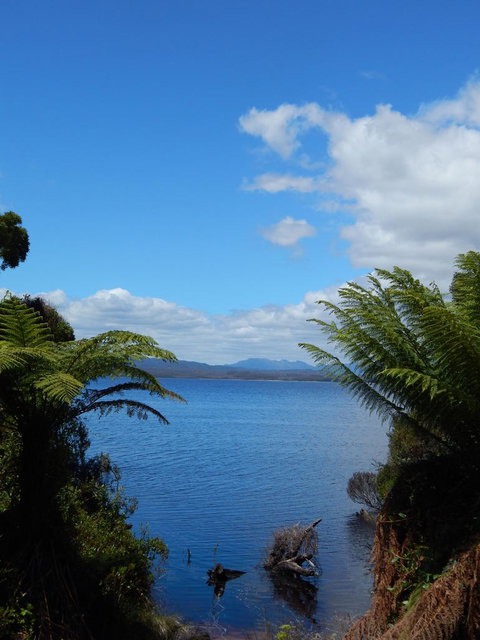 Gordon River Cruise Departing From Strahan - Accommodation NSW 20