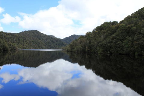 Gordon River Cruise Departing From Strahan - Accommodation NSW 21