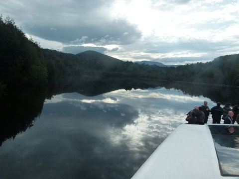 Gordon River Cruise Departing From Strahan - Accommodation NSW 15