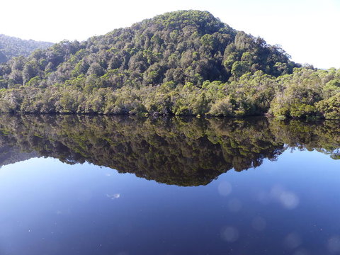 Gordon River Cruise Departing From Strahan - Accommodation NSW 4