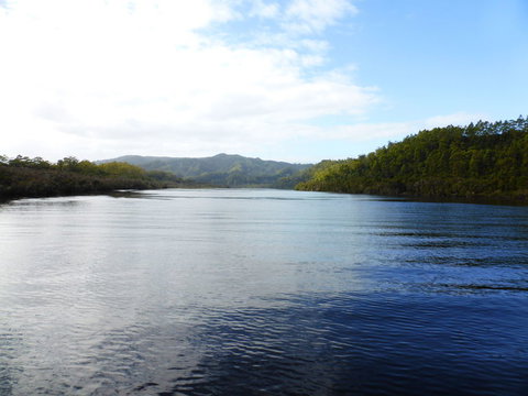 Gordon River Cruise Departing From Strahan - Accommodation NSW 10
