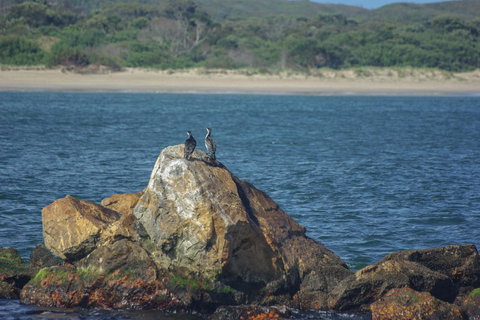 Gordon River Cruise Departing From Strahan - Accommodation NSW 11