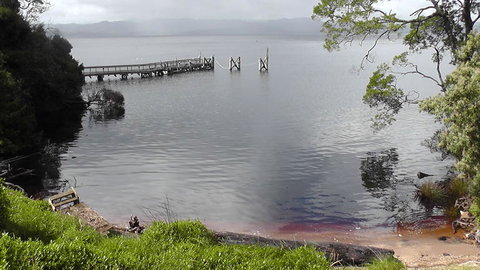 Gordon River Cruise Departing From Strahan - Accommodation NSW 22