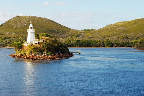 Gordon River Cruise Departing From Strahan - Accommodation NSW 25