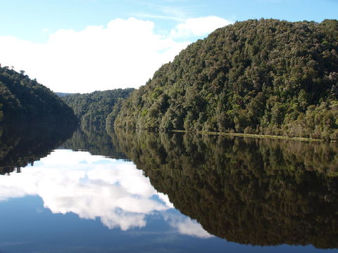 Gordon River Cruise Departing From Strahan - Accommodation NSW 16