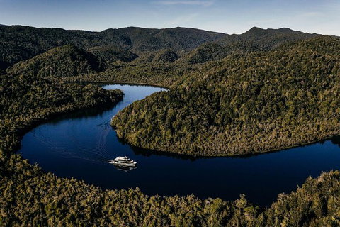 Gordon River Cruise Departing From Strahan - Accommodation NSW 26