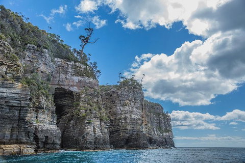 Shore Excursion - Port Arthur - Tasman Peninsula - Accommodation NSW 1