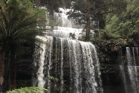Wilderness And Wildlife - Accommodation NSW 1