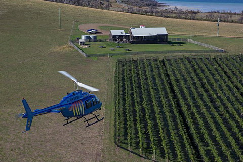 Bangor Vineyard Shed Helicopter Tour - Accommodation NSW 0