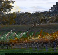 Barossa Valley with Hahndorf Tour from Adelaide - Accommodation NSW