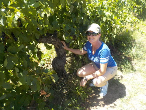 Barossa Valley Wineries Tour With Tastings And Lunch From Adelaide - Accommodation NSW 11