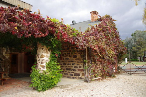 Barossa Valley Wineries Tour With Tastings And Lunch From Adelaide - Accommodation NSW 3