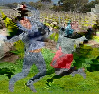 Mclaren Vale Luxury Full Day Small Group Wine Tour - Accommodation NSW