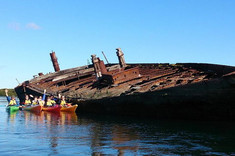 Adelaide Dolphin Sanctuary And Ships Graveyard Kayak Tour - Accommodation NSW 1