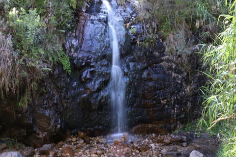 Self-Guided Waterfall Gully To Mount Lofty Hike From Adelaide - Accommodation NSW 2