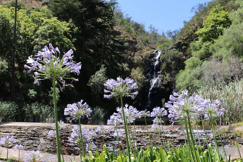 Self-Guided Waterfall Gully To Mount Lofty Hike From Adelaide - Accommodation NSW 6