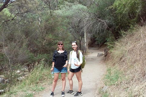 Self-Guided Waterfall Gully To Mount Lofty Hike From Adelaide - Accommodation NSW 4